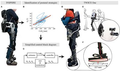 Bioinspired Postural Controllers for a Locked-Ankle Exoskeleton Targeting Complete SCI Users